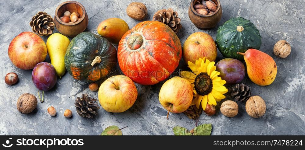Autumn composing with pumpkin, fruit and fall leaves. Beautiful autumn composition