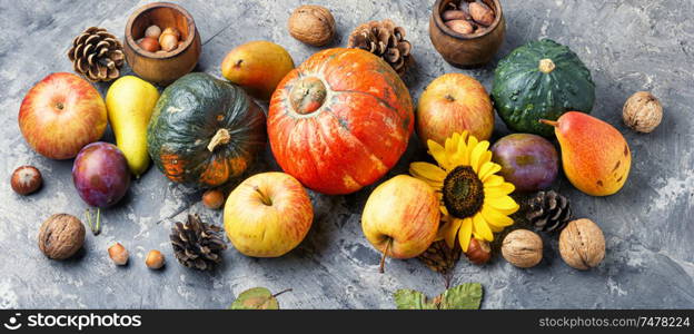 Autumn composing with pumpkin, fruit and fall leaves. Beautiful autumn composition