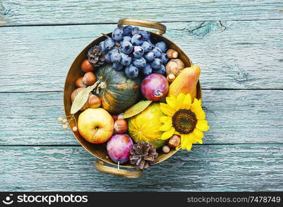 Autumn composing with pumpkin, fruit and fall leaves. Beautiful autumn composition