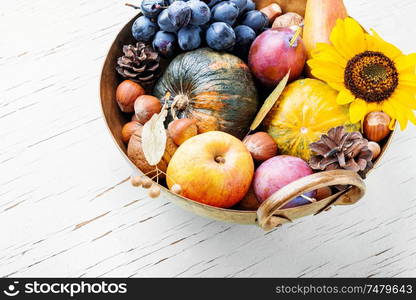 Autumn composing with pumpkin, fruit and fall leaves.Fall season. Beautiful autumn composition