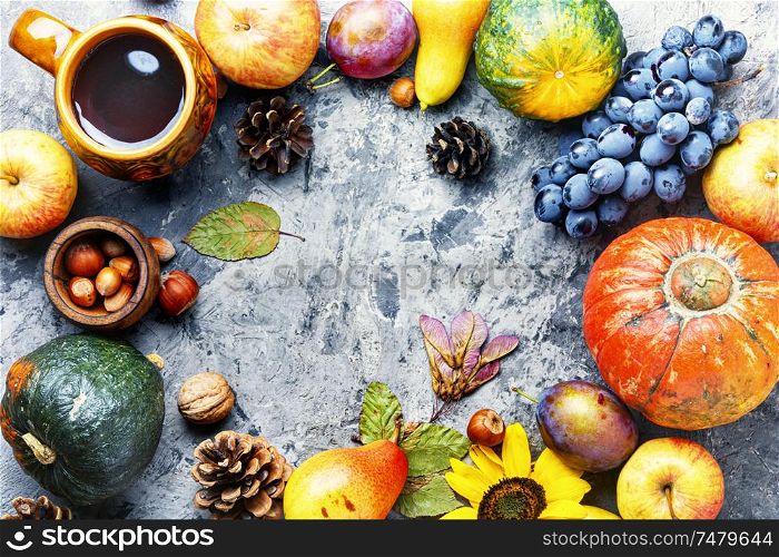 Autumn composing with pumpkin, fruit and fall leaves.Fall season. Beautiful autumn composition