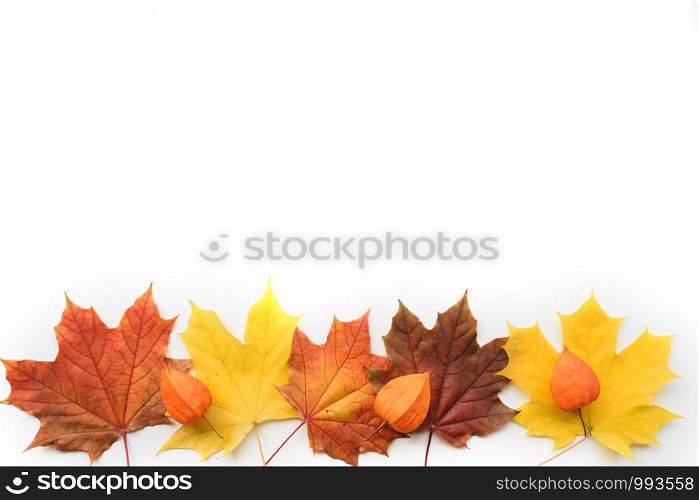 Autumn composition. Autumn border of red and orange maple leaves and physalis on white background. Flat lay, top view. Copyspace. Autumn composition of frame of maple leaves and physalis. Flat lay, top view