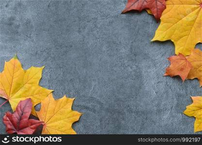 Autumn composition. Autumn frame of red and arange maple leaves on gray background. Flat lay, top view. Copyspace. Autumn composition. Autumn frame of maple leaves. Flat lay, top view