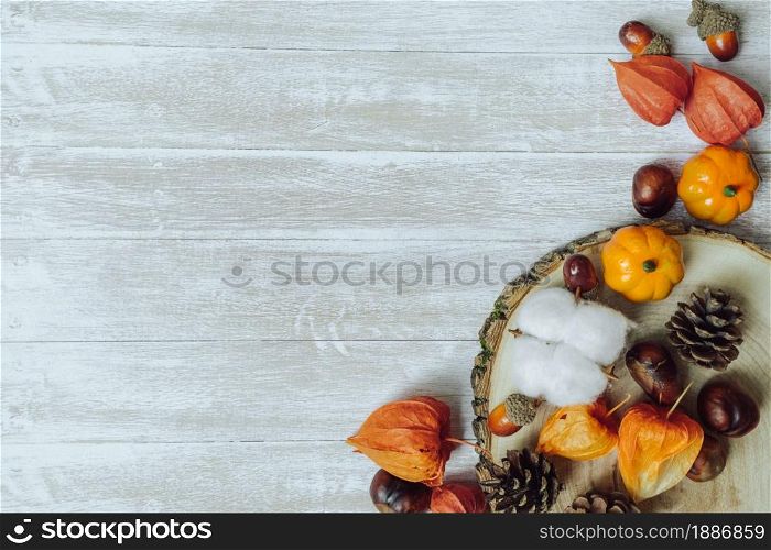 Autumn composition. Chestnuts, pine cones, physalis, acorn on wooden background. Flat lay, copy space. Autumn composition. Chestnuts, pine cones, physalis, acorn on wooden background. Flat lay