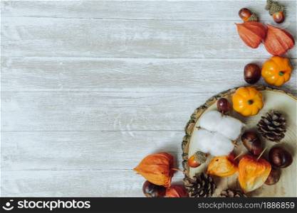 Autumn composition. Chestnuts, pine cones, physalis, acorn on wooden background. Flat lay, copy space. Autumn composition. Chestnuts, pine cones, physalis, acorn on wooden background. Flat lay