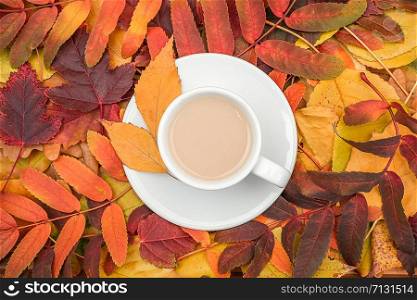 Autumn composition. Cup of coffee with milk on variegated colorful leaves, close up. Flat lay, top view, copy space.. Autumn composition. Cup of coffee with milk on variegated colorful leaves, close up. Flat lay, top view, copy space
