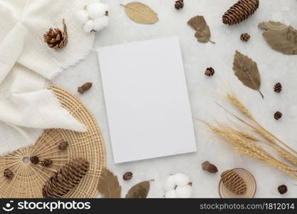 Autumn composition, dried leaves. cotton flowers and pine cones on white background. Flat lay, top view with copy space