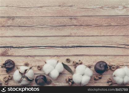 Autumn composition. Dried white fluffy cotton flower and chestnut top view on white wood with copy space. Floral composition. Autumn composition. Dried white fluffy cotton flower top view on white wood with copy space. Floral composition