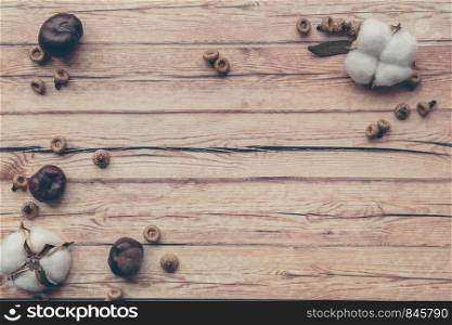 Autumn composition. Dried white fluffy cotton flower and chestnut top view on white wood with copy space. Floral composition. Flat lay. Autumn composition. Dried white fluffy cotton flower top view on white wood with copy space. Floral composition