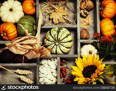 Autumn composition in wooden box