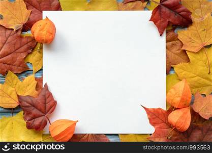 Autumn composition of square sheet of white paper on yellow and red maple leaves background. Flat lay, top view. Copyspace. Mockup. Autumn composition of maple leaves and square white paper. Flat lay, top view