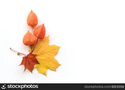 Autumn composition of yellow and red maple leaves and physalis on white background. Flat lay, top view. Copyspace. Autumn composition of frame of maple leaves and physalis. Flat lay, top view