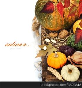 Autumn composition ( pumpkins and corn on old wooden table). Thanksgiving day concept (with easy removable sample text)