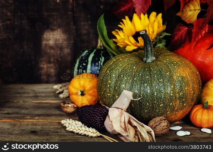 Autumn composition ( pumpkins and corn on old wooden table). Thanksgiving day concept