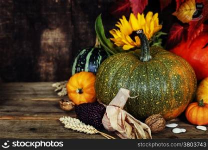 Autumn composition ( pumpkins and corn on old wooden table). Thanksgiving day concept
