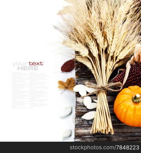 Autumn composition ( pumpkins, wheat and corn on old wooden table). Thanksgiving day concept (with easy removable sample text)