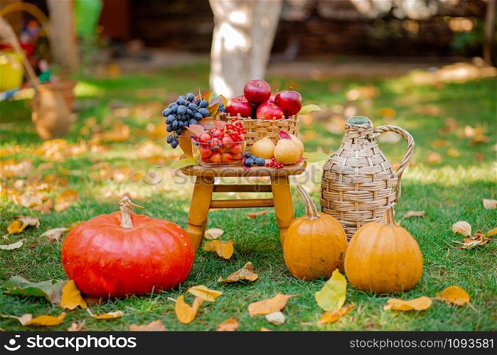 Autumn composition with apples, pumpkin and grapes located in the garden. Autumn harvest. Sunny warm day, autumn foliage and flowers.. Autumn composition with apples, pumpkin and grapes located in the garden. Autumn harvest.