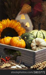 Autumn composition with little house and pumpkins in wooden box