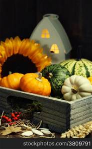 Autumn composition with little house and pumpkins in wooden box
