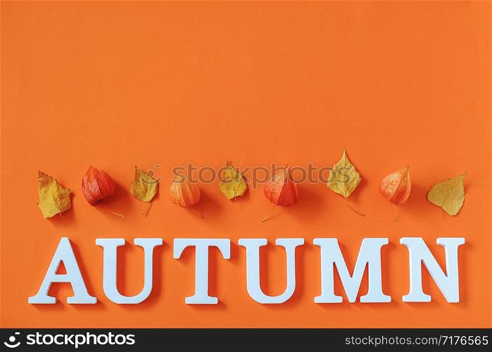 Autumn composition. Word Autumn from white letters and bright autumn leaves herbarium on orange paper background. Concept Hello fall. Creative Top view Flat lay Copy space.. Autumn composition. Word Autumn from white letters and bright autumn leaves herbarium on orange paper background. Concept Hello fall. Creative Top view Flat lay Copy space