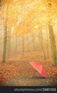 Autumn concept. Healthy active lifestyle. Red umbrella on autumn leaves background. Foggy misty day, sun rays