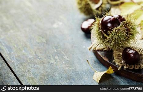 Autumn concept with Chestnuts and leaves on wooden board
