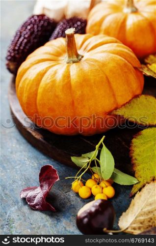 Autumn concept with seasonal fruits and vegetables on wooden board
