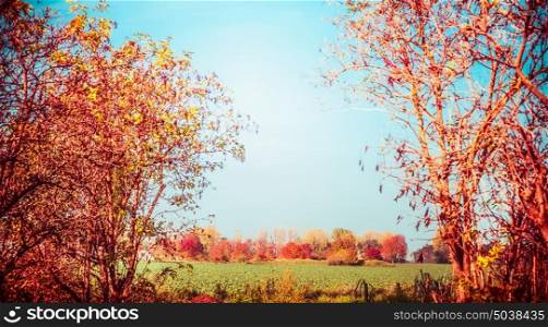 Autumn country landscape with trees , foliage and field. Fall nature background