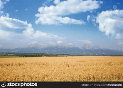 Autumn countryside rural landscape: wheat fields and high mountain range on the background
