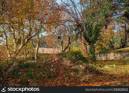 Autumn day in park