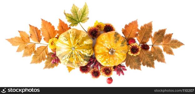 Autumn Decoration of Leaves, Berries, Flowers and Pumpkins of Orange, Gpld, Yellow and Red Colors on the White Background