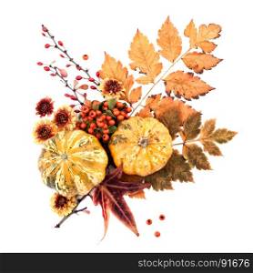 Autumn Decoration of Leaves, Berries, Flowers and Pumpkins of Orange, Gpld, Yellow and Red Colors on the White Background