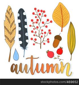 Autumn decoration set with leaves, berries and feathers. Vector collection for holiday design.. Autumn decoration set with leaves, berries and feathers. Vector collection for holiday design