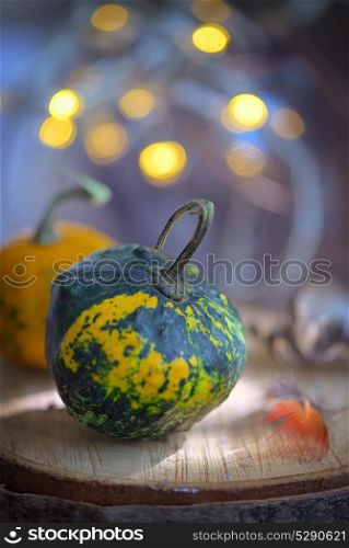 Autumn decoration with small pumpkins and lights