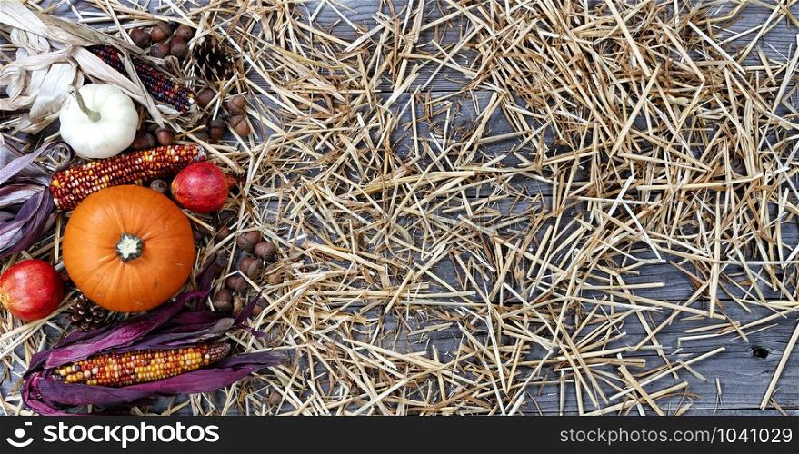 Autumn decorations consisting of pumpkin, acorns, gourd, corn and pine cones on rustic wood with straw for Thanksgiving or Halloween season