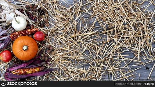 Autumn decorations consisting of pumpkin, acorns, gourd, corn and pine cones on rustic wood with straw for Thanksgiving or Halloween season