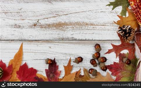 Autumn decorations made of leaves, acorns, corn and pine cones on right and bottom borders on white rustic wood for Thanksgiving or Halloween season