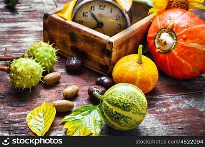 Autumn decorative pumpkin