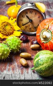 Autumn decorative pumpkin,chestnuts and retro alarm clock