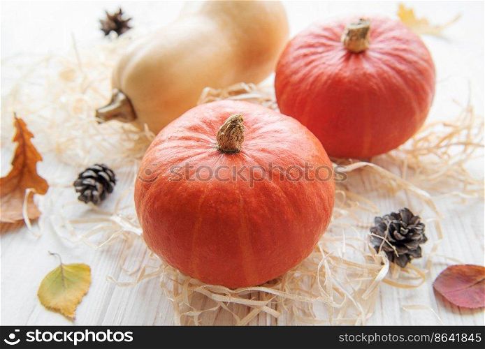 Autumn decorative pumpkins with fall leaves on wooden background. Thanksgiving or halloween holiday, harvest concept.