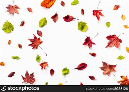 Autumn dry red, orange, green leaves on white with copy space. Nature background. Autumn dry red, orange, green leaves on white
