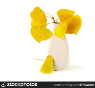 Autumn dry yellow leaves in the vase isolated on white