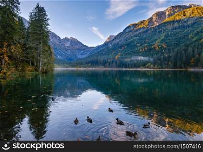 Autumn early morning alpine Jaegersee lake with duck flock and mountains above, Kleinarl, Land Salzburg, Austria. Picturesque hiking, seasonal, and nature beauty concept scene.