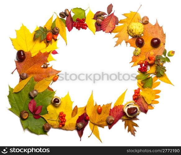 autumn elements frame - acorn, chestnut, viburnum, rowan, briar and multicolored leaves