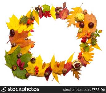 autumn elements frame - acorn, chestnut, viburnum, rowan, briar and multicolored leaves