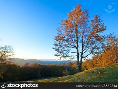 Autumn evening landscape with lust sunlight on mountains and evening glow in sky