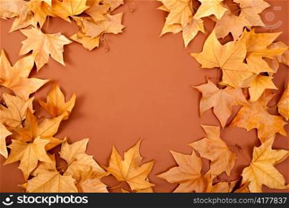 autumn fall dried leaves border fame on brown background copyspace