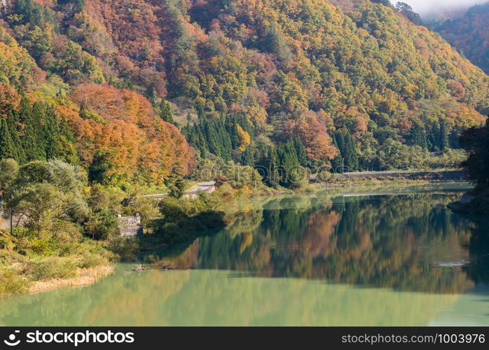 Autumn fall foliage Koyo in Tadami Region Fukushima Japan