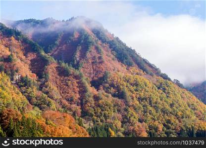 Autumn fall foliage Koyo in Tadami Region Fukushima Japan