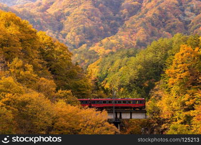 Autumn fall foliage with red train commuter in Fukushima Japan